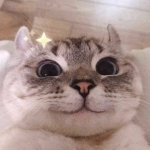 1629749971134.png