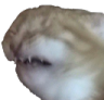 745730844462940260.png