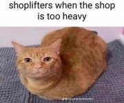 IMG_5554.jpeg