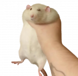 1701265015653.png