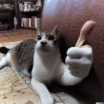 1701495878719.png