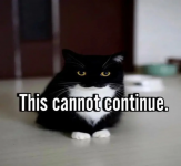 1704048270218.png