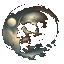 use this.png