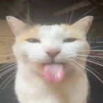 1708298291097.png