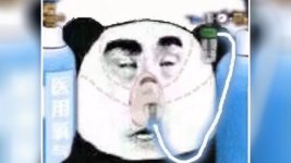 oxygenpanda.jpg