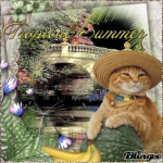 tropical summers.png