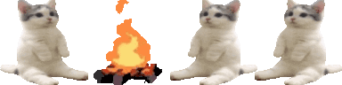 cozy.gif