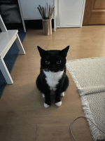 togif-6_1.gif