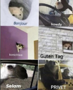 guten_tag.png