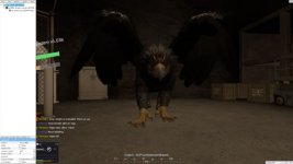 griffin.jpg