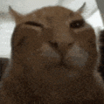 buh-b-u-h.gif