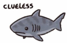 clueless shark.jpeg