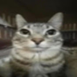 1716447139943.png