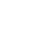 1733406818907.png