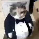 1662888116594.png