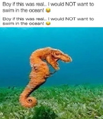 1746214635863.png