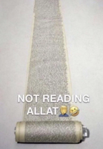 1747169183492.png