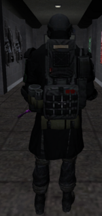 1747492806692.png