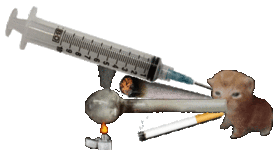 crackbert2joint.gif
