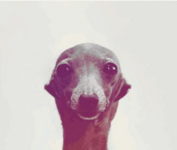1750651371435.png