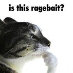 IMG_6185.jpeg