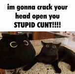 1000007533.gif