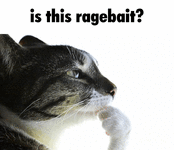 RagebaitCat.gif