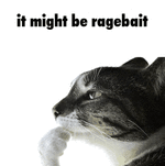 1000005193.gif