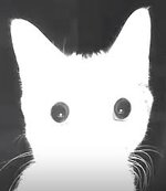 IMG_1694.jpeg