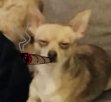 Charlie.png