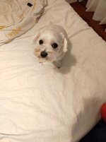 IMG_20240624_235358.jpg