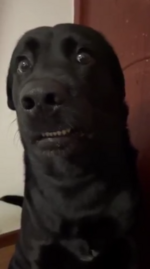 1754858275820.png