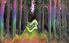 1754898385419.png