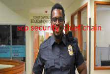 1755533256915.png