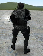 pacpicture3.png