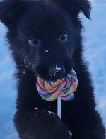 IMG_1442.jpeg