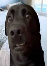 1762297508774.png 1762297508774.png