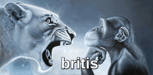 176807365417487427.png 176807365417487427.png