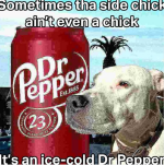 1778367267167.png 1778367267167.png