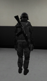 op3.png