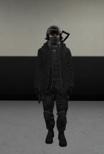 sp1.png