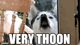 1781992076036.png