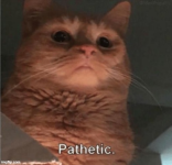 1782374094809.png