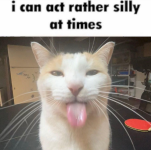 1782686630773.png