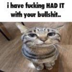 1782734923183.png