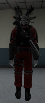 SCP-5692-29 Back.png