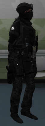 imagepac4.png