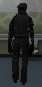 imagepac3.png
