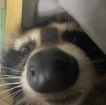 15243ADD-A186-48A1-98B0-793DEC00CC3D.jpeg