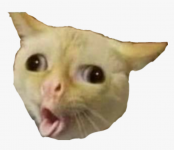 1668631298912.png